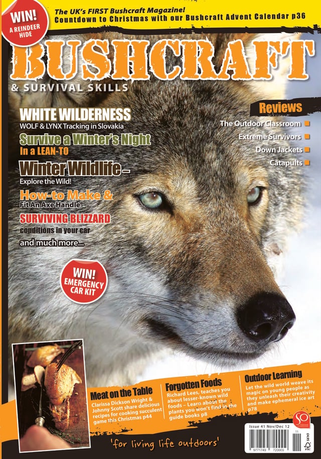 Issue 41