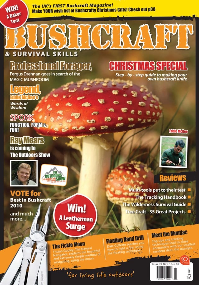 Issue 29