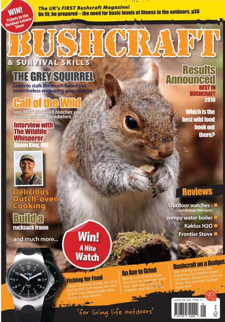 issue_30_cover