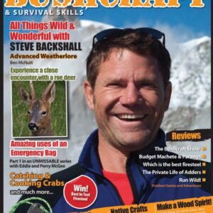 Issue 33