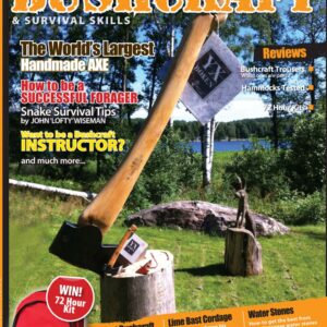 Issue 40