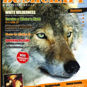 Issue 41