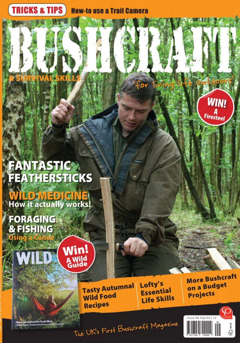 issue_46_cover