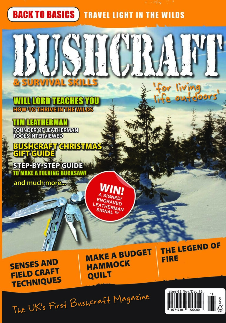 issue_65_cover