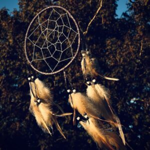 Dreamcatcher - Wildeye Adventures