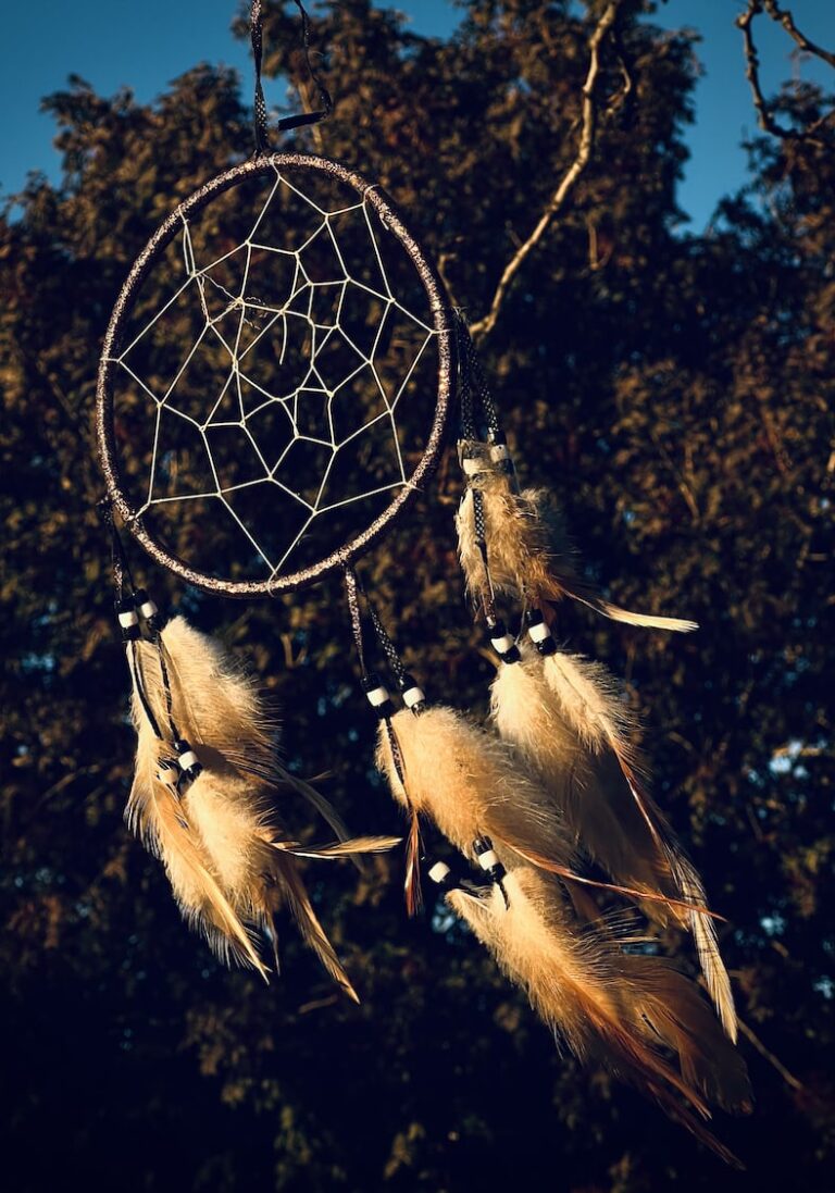 Dreamcatcher - Wildeye Adventures
