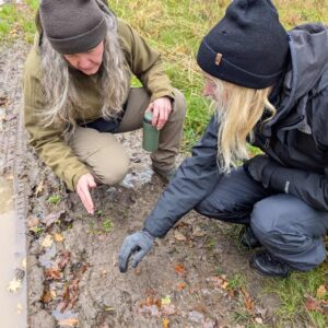 IMG-20241124-WA0003 (1)