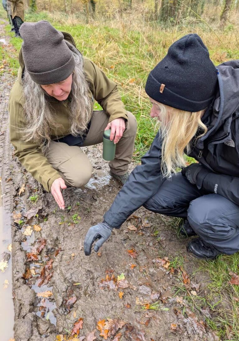 IMG-20241124-WA0003 (1)