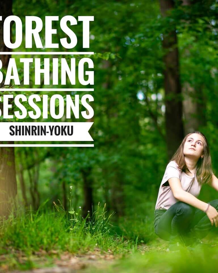 Forest Bathing Wildeye Adventures - Wildeye Adventures (1)
