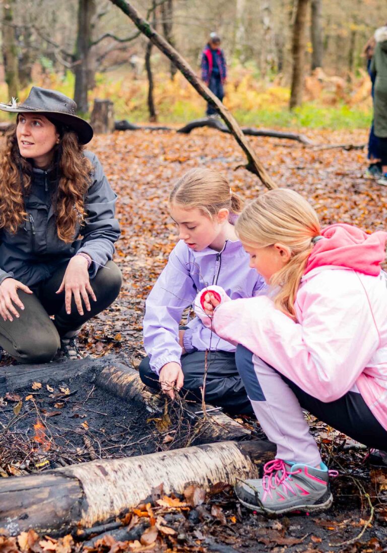 Camp wilderness fire