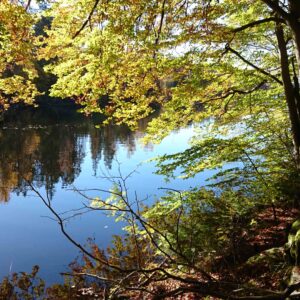 Right of bublic access sweden nature 4