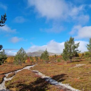 Right of bublic access sweden nature 5