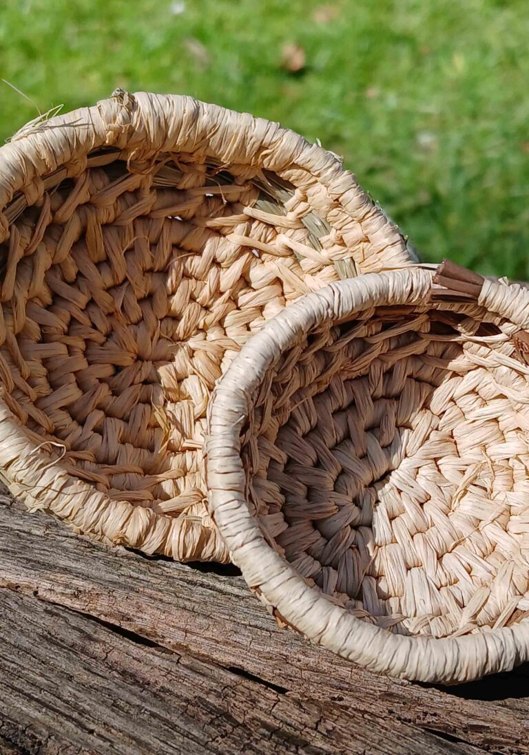 Foraged coiled baskets