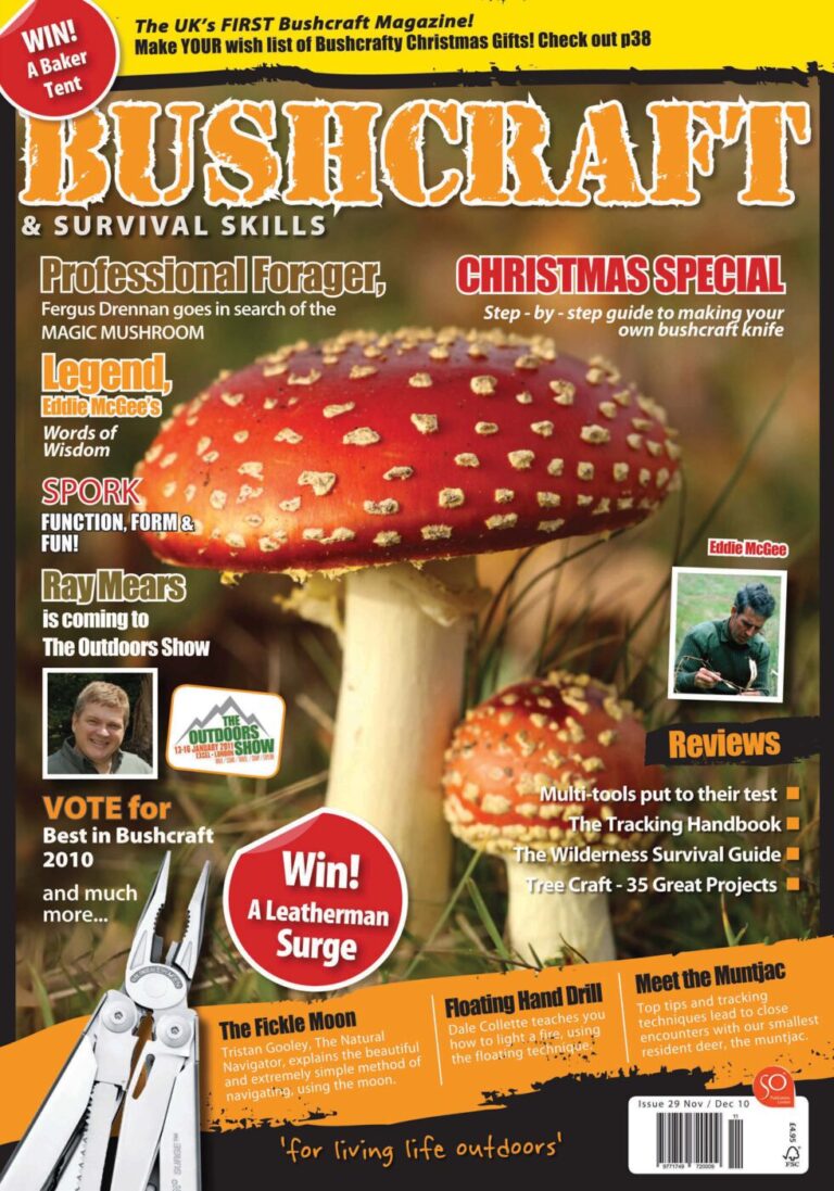 issue_29_cover