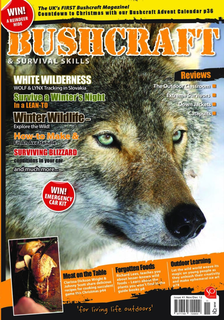 issue_41_cover