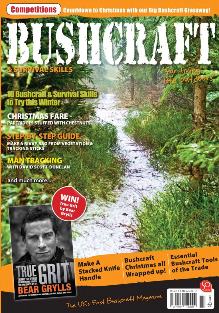 issue_53_cover